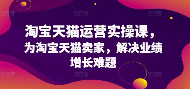 淘宝天猫运营实操课，为淘宝天猫卖家，解决业绩增长难题-志拓网创
