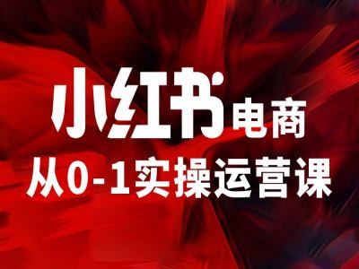 小红书电商从0-1实操运营课，让你从小白到精英-志拓网创