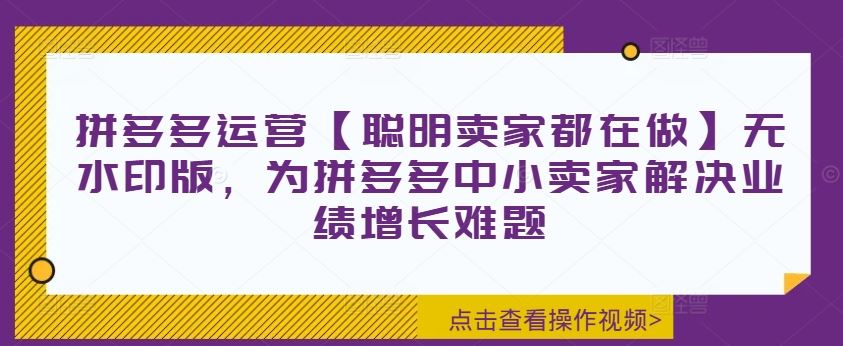拼多多运营【聪明卖家都在做】无水印版，为拼多多中小卖家解决业绩增长难题-志拓网创