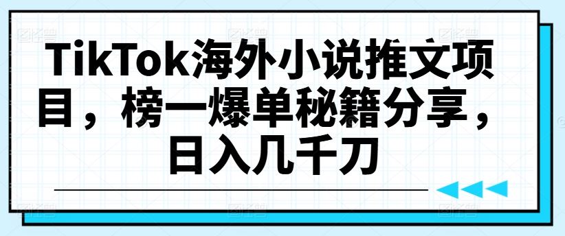 TikTok海外小说推文项目，榜一爆单秘籍分享，日入几千刀-志拓网创