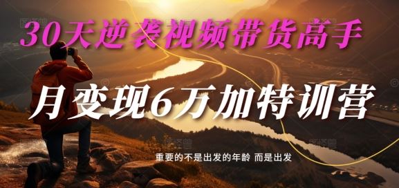 30天逆袭视频带货高手，单月变现6万加特训营-麦子甜-志拓网创