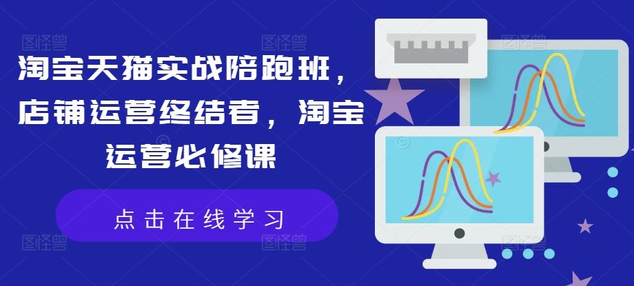 淘宝天猫实战陪跑班，店铺运营终结者，淘宝运营必修课-志拓网创