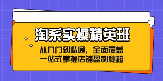 （12276期）淘系实操精英班：从入门到精通，全面覆盖，一站式掌握店铺盈利秘籍-志拓网创