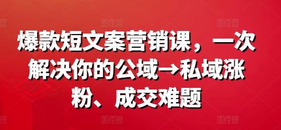 爆款短文案营销课，一次解决你的公域→私域涨粉、成交难题-志拓网创