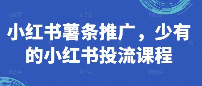 小红书薯条推广，少有的小红书投流课程-志拓网创