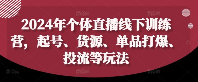 2024年个体直播训练营，起号、货源、单品打爆、投流等玩法-志拓网创