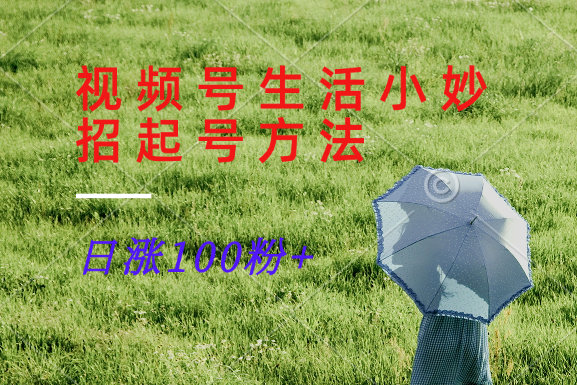 视频号生活小妙招分享赛道， 起号涨粉新方法，日涨100粉-志拓网创