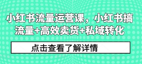 小红书流量运营课，小红书搞流量+高效卖货+私域转化-志拓网创