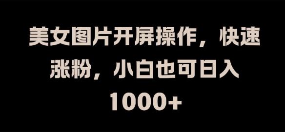 美女图片开屏操作，快速涨粉，小白也可日入1k【揭秘】-志拓网创