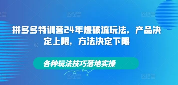 拼多多特训营24年爆破流玩法，产品决定上限，方法决定下限，各种玩法技巧落地实操-志拓网创