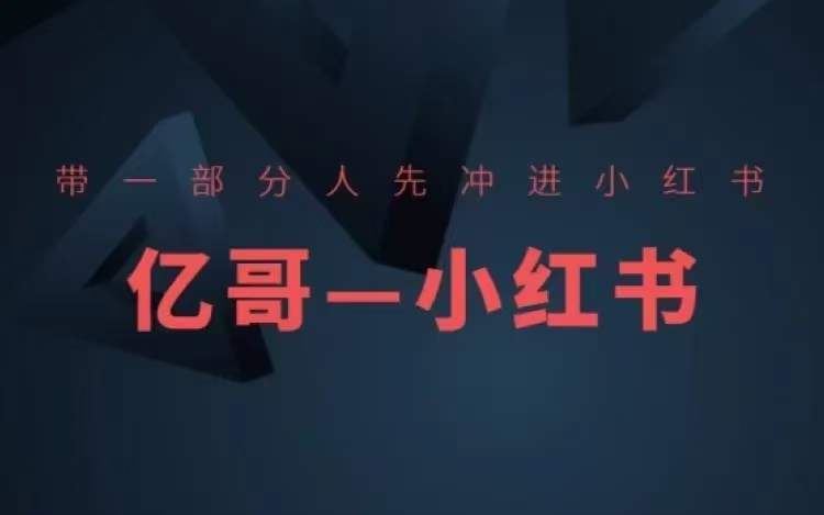 ​​带一部分人先冲进小红书，小红书开店、选品、爆款裂变-志拓网创