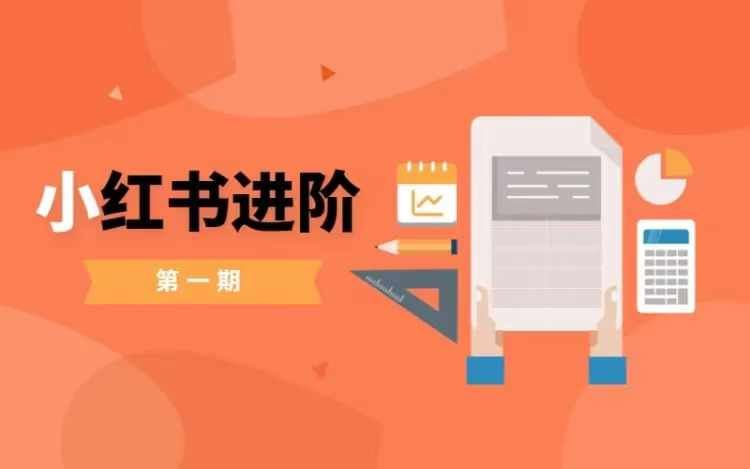 小红书进阶篇，零基础小白实战课，普通人变现的课程-志拓网创
