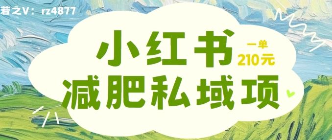 小红书减肥粉，私域变现项目，一单就达210元，小白也能轻松上手【揭秘】-志拓网创