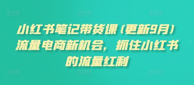 小红书笔记带货课(更新9月)流量电商新机会，抓住小红书的流量红利-志拓网创