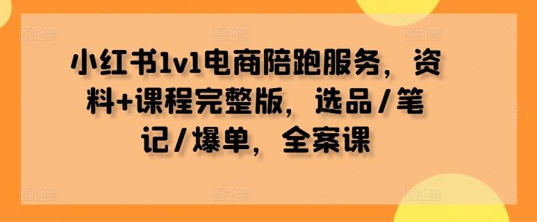 小红书1v1电商陪跑服务，资料+课程完整版，选品/笔记/爆单，全案课-志拓网创