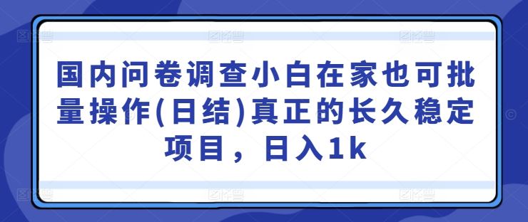 国内问卷调查小白在家也可批量操作(日结)真正的长久稳定项目，日入1k【揭秘】-志拓网创