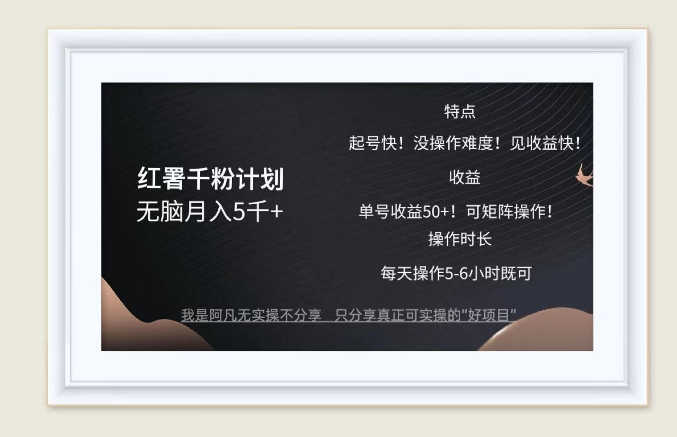 红薯千粉计划无脑月入5千+！既做既赚！-志拓网创