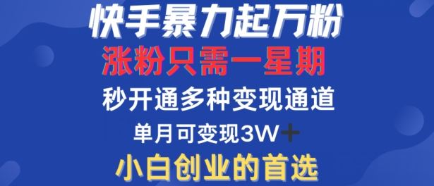 快手暴力起万粉，涨粉只需一星期，多种变现模式，直接秒开万合，单月变现过W【揭秘】-志拓网创