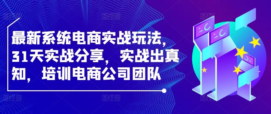 最新系统电商实战玩法，31天实战分享，实战出真知，培训电商公司团队-志拓网创