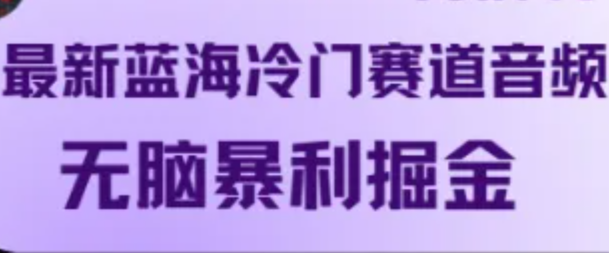 最新蓝海冷门赛道音频，无脑暴利掘金-志拓网创