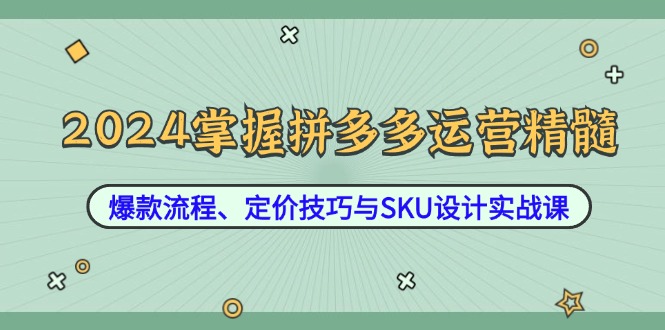 （12703期）2024掌握拼多多运营精髓：爆款流程、定价技巧与SKU设计实战课-志拓网创