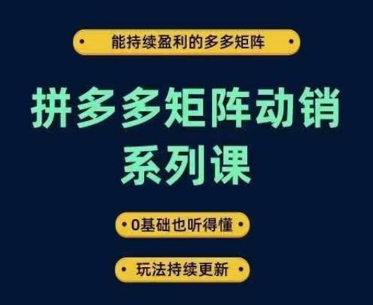 拼多多矩阵动销系列课，能持续盈利的多多矩阵，0基础也听得懂，玩法持续更新-志拓网创