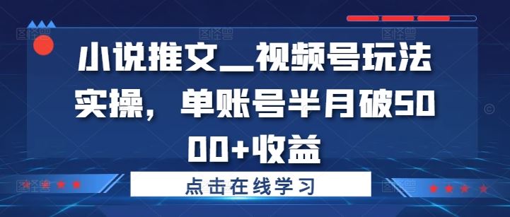 小说推文—视频号玩法实操，单账号半月破5000+收益-志拓网创