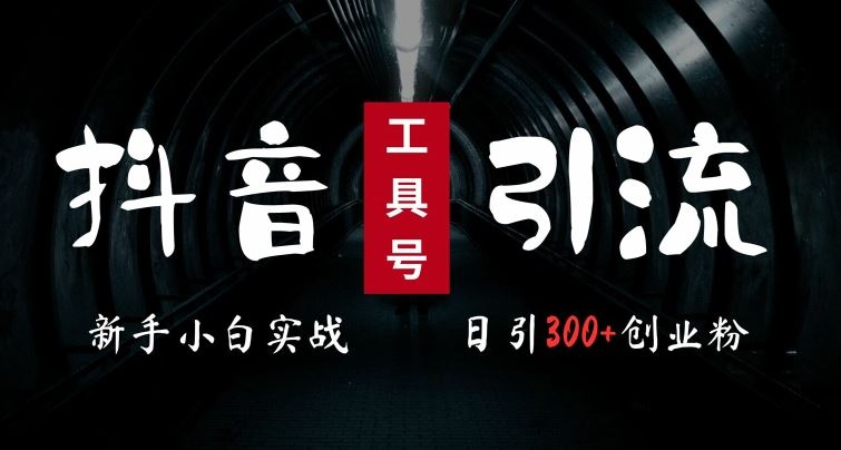 2024最新抖音工具号引流玩法，高效日引300+创业粉，当天变现5k，小白也可成为实战高手-志拓网创