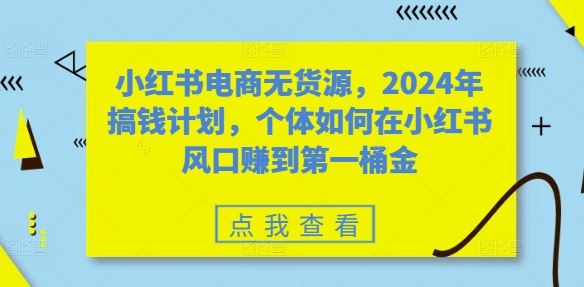 小红书电商无货源，2024年搞钱计划，个体如何在小红书风口赚到第一桶金-志拓网创