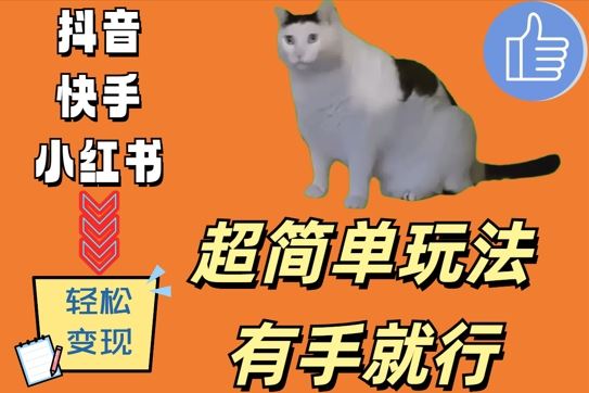 超简单玩法，有手就行，靠猫咪视频日入500+【揭秘】-志拓网创