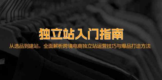 独立站入门指南：从选品到建站，全面解析跨境电商独立站运营技巧与爆品打造方法-志拓网创