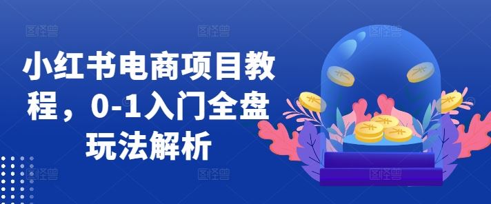 小红书电商项目教程，0-1入门全盘玩法解析-志拓网创