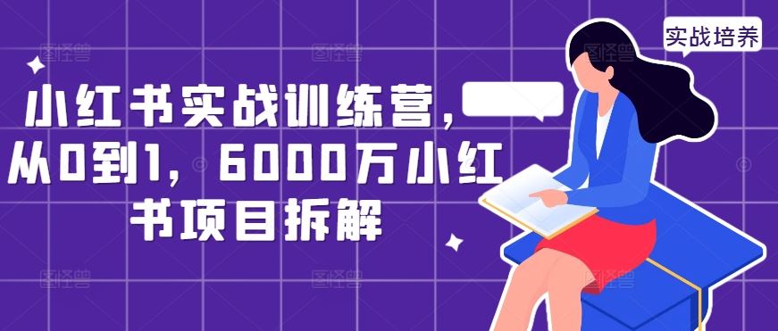 小红书实战训练营，从0到1，6000万小红书项目拆解-志拓网创