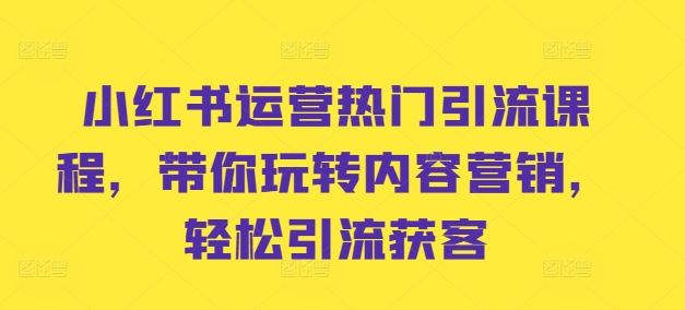 小红书运营热门引流课程，带你玩转内容营销，轻松引流获客-志拓网创