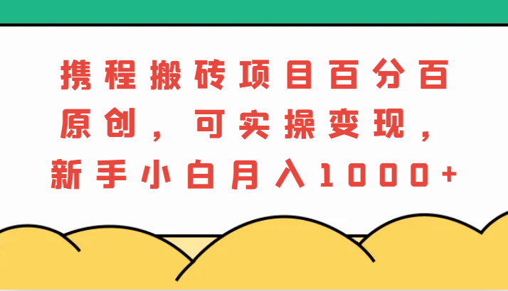携程搬砖项目，百分百原创，可实操变现，新手小白月入1000+-志拓网创