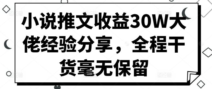小说推文收益30W大佬经验分享，全程干货毫无保留-志拓网创