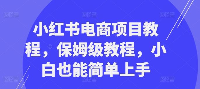 小红书电商项目教程，保姆级教程，小白也能简单上手-志拓网创