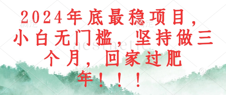 （12970期）2024年底最稳项目，小白无门槛，坚持做三个月，回家过肥年！！！-志拓网创