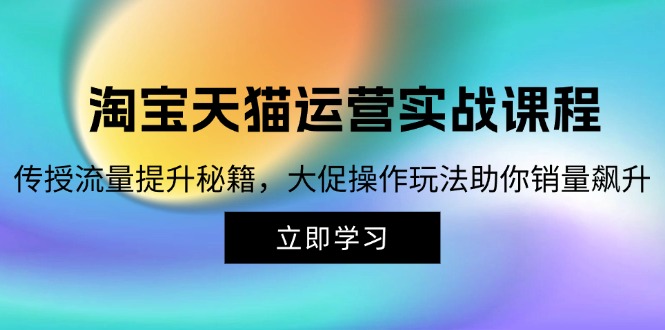 （12959期）淘宝&天猫运营实战课程，传授流量提升秘籍，大促操作玩法助你销量飙升-志拓网创