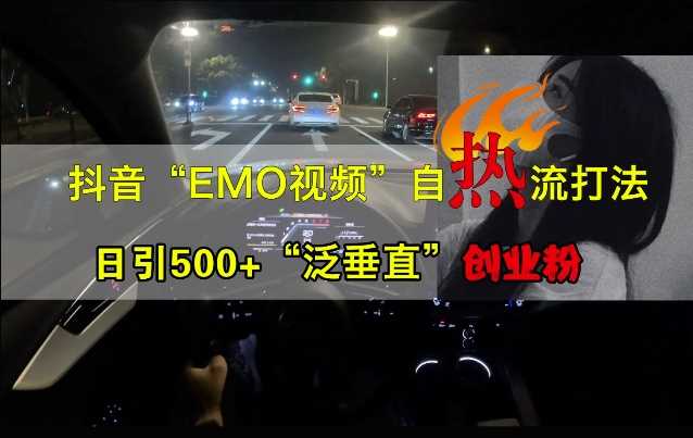 抖音EMO视频自热打法，日引500+“泛垂直”创业粉-志拓网创