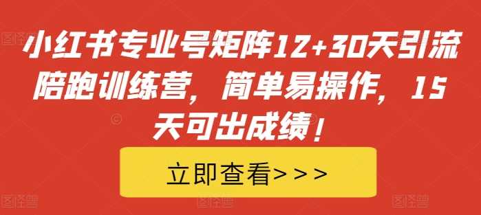 小红书专业号矩阵12+30天引流陪跑训练营，简单易操作，15天可出成绩!-志拓网创