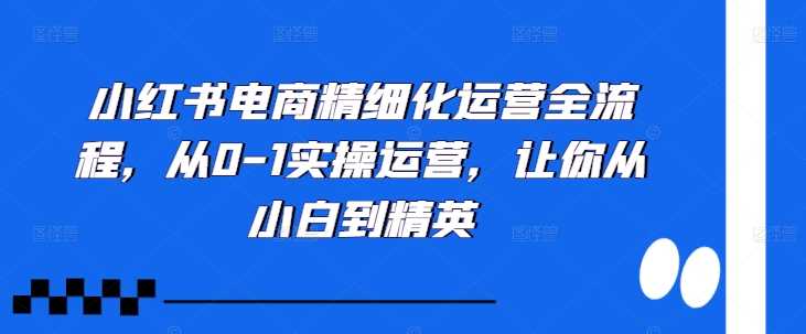 小红书电商精细化运营全流程，从0-1实操运营，让你从小白到精英-志拓网创