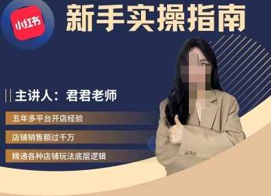 君君-小红书电商从入门到精通，新手实操指南-志拓网创