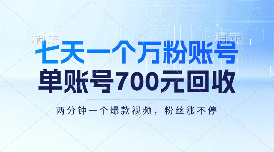 （13062期）七天一个万粉账号，新手小白秒上手，单账号回收700元，轻松月入三万＋-志拓网创