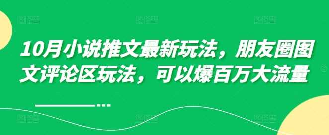 10月小说推文最新玩法，朋友圈图文评论区玩法，可以爆百万大流量-志拓网创