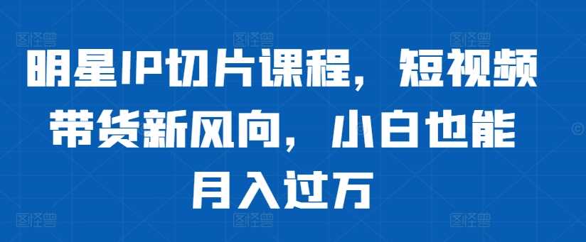 明星IP切片课程，短视频带货新风向，小白也能月入过万-志拓网创