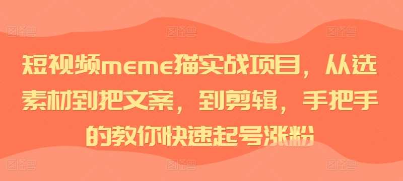 短视频meme猫实战项目，从选素材到把文案，到剪辑，手把手的教你快速起号涨粉-志拓网创