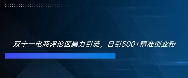 双十一电商评论区暴力引流，日引500+精准创业粉【揭秘】-志拓网创