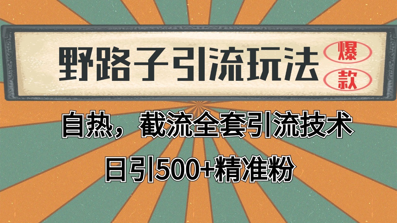 抖音小红书视频号全平台引流打法，全自动引流日引2000+精准客户-志拓网创