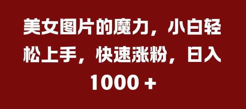 美女图片的魔力，小白轻松上手，快速涨粉，日入几张【揭秘】-志拓网创